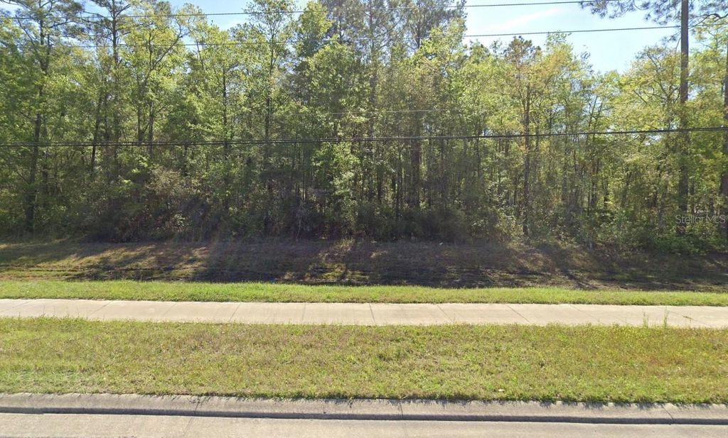 Photo of 7905 Us Highway 301, Bryceville, FL 32009 (MLS # A4685818)