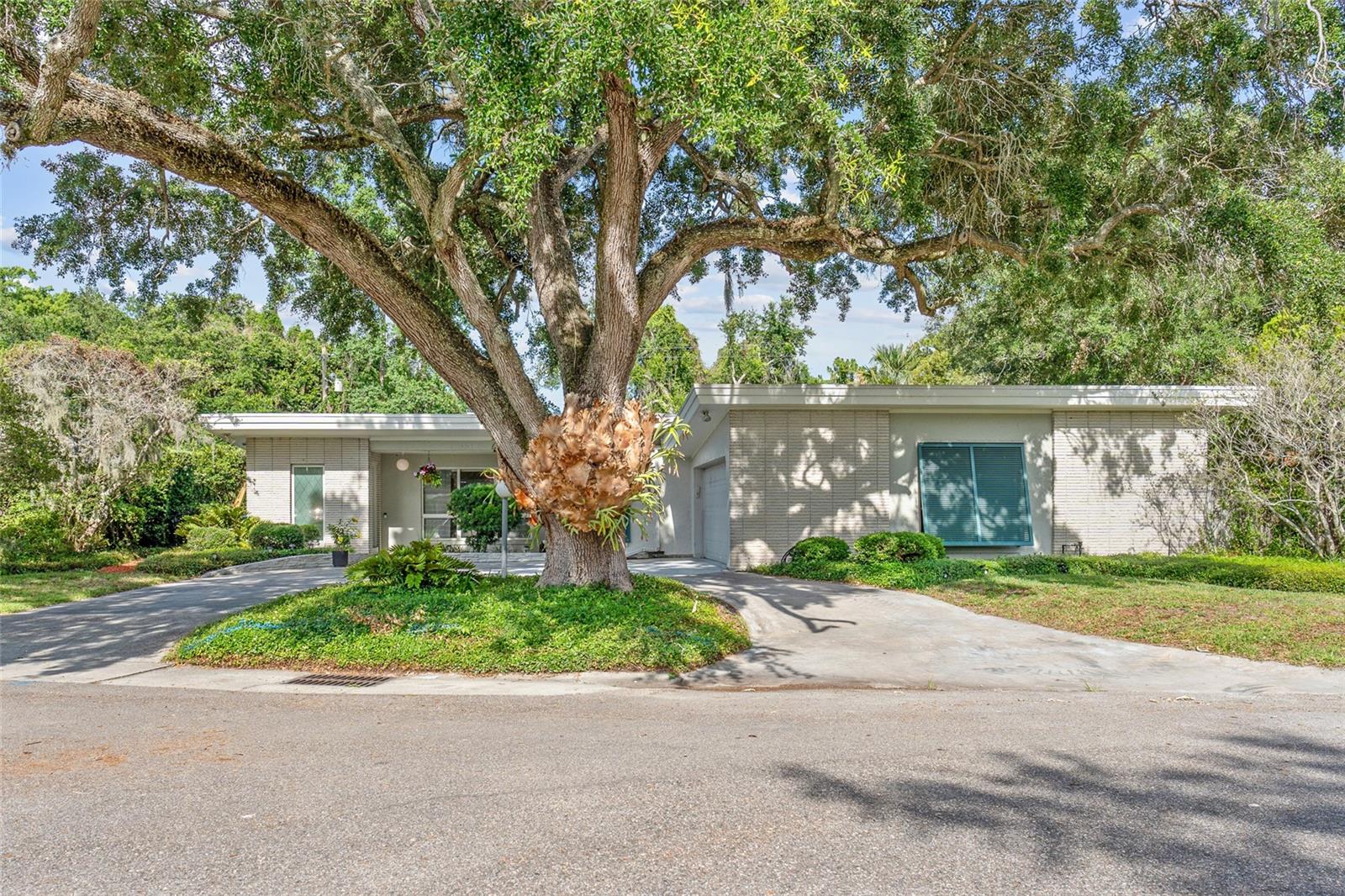 FLAMINGO SHORES - Residential