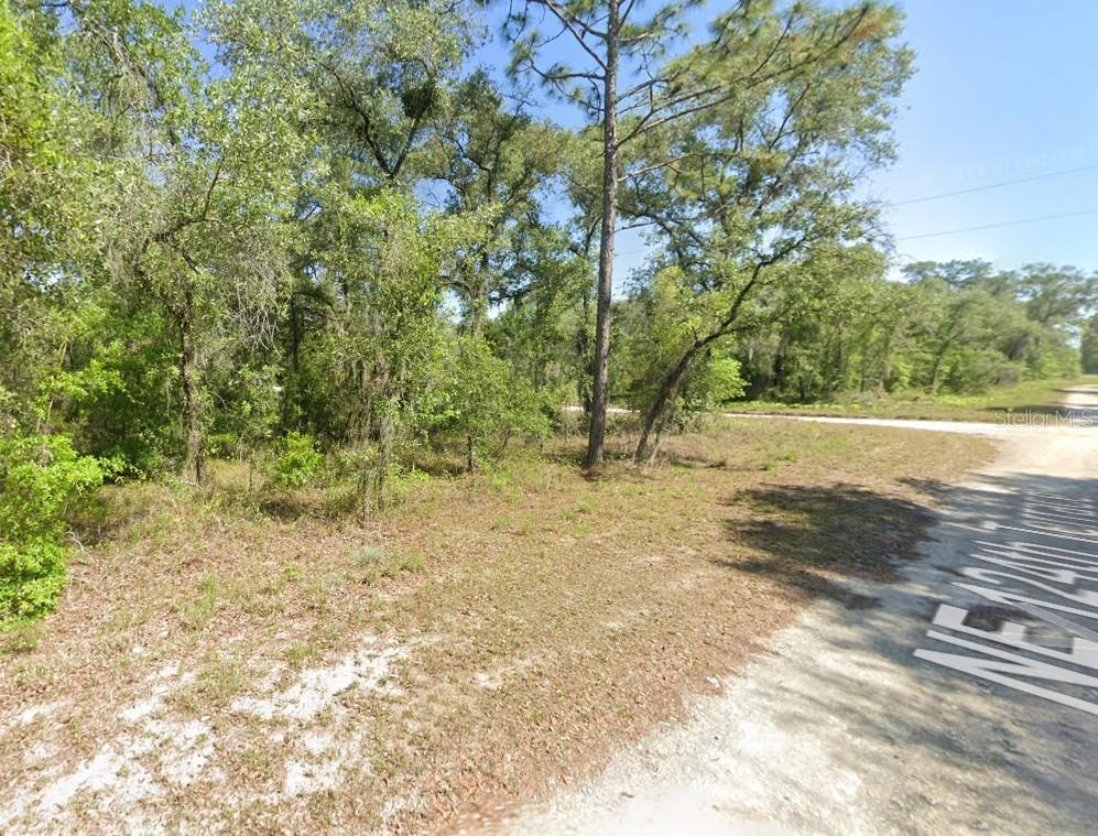 Photo of 6 NE 124 Street, Williston, FL 32696 (MLS # OM733628)