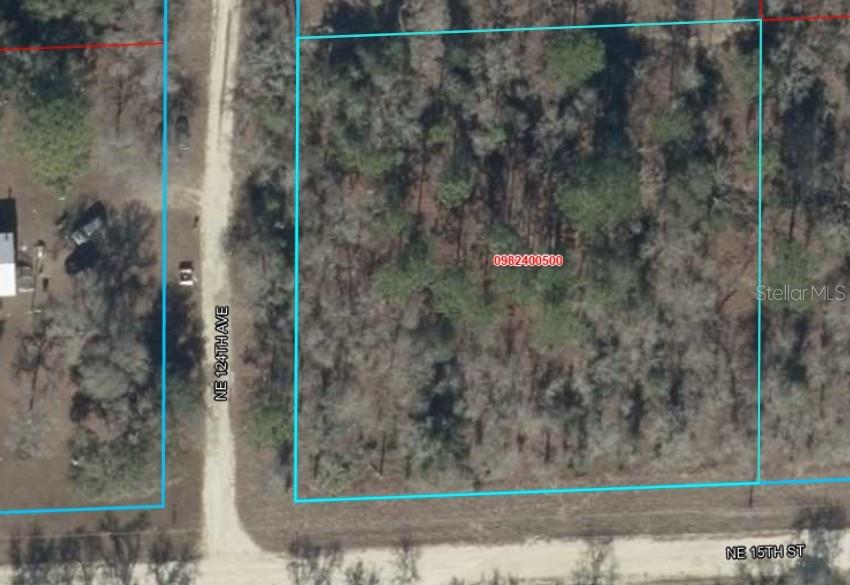 Photo of 6 NE 124 Street, Williston, FL 32696 (MLS # OM733628)