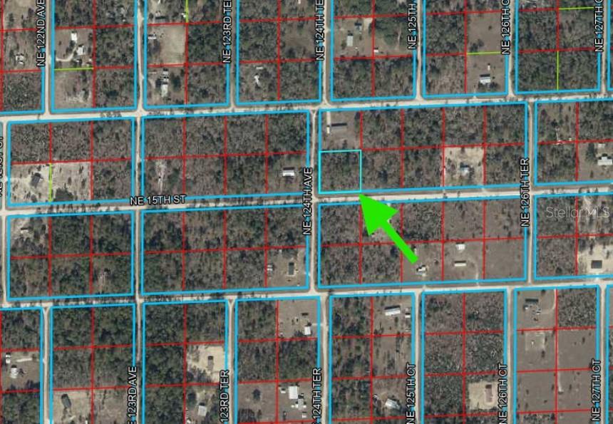 Photo of 6 NE 124 Street, Williston, FL 32696 (MLS # OM733628)