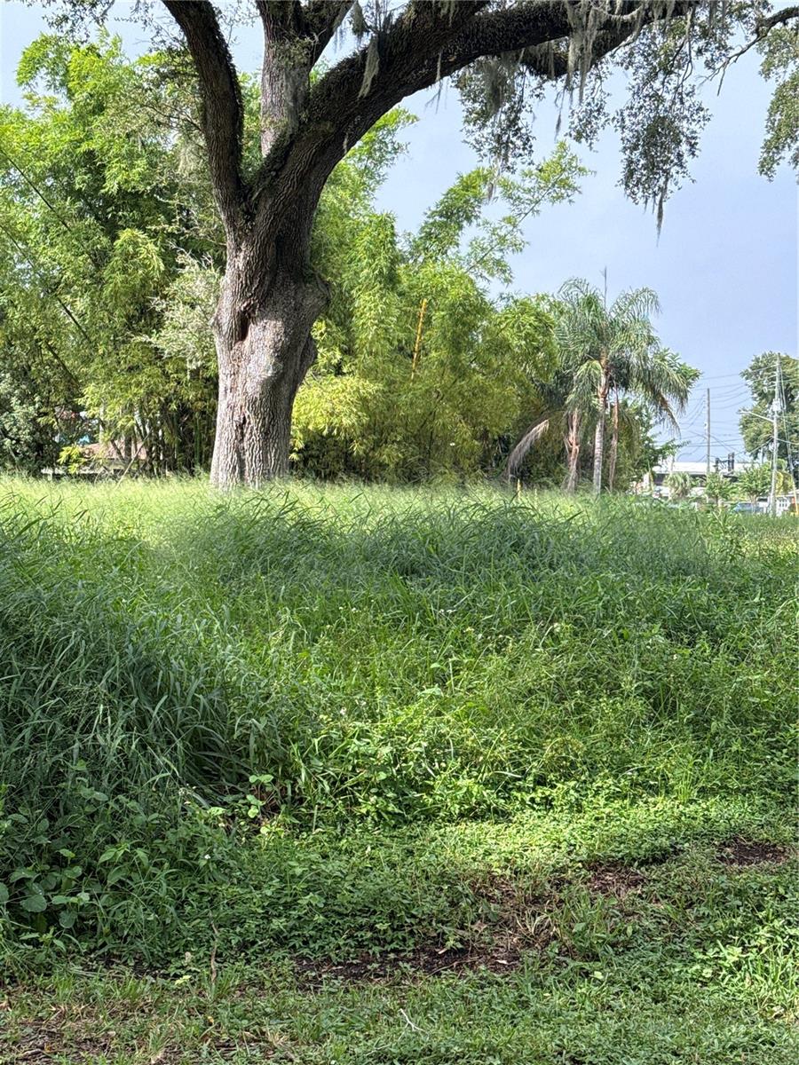Short Sale. Short Sale. Subject to seller's lender(s) approval of contract, terms. Property sold as-is. Buyer responsible for due diligence, including verifying HOA, taxes, fees, and condition. subject to lender approval and may be adjusted. Situated just off Michigan Avenue near the tranquil waters of Lake Holden, this vacant lot offers a rare opportunity to build your dream home in a peaceful yet central Orlando location. Enjoy quiet lakefront living while being only minutes from downtown, SoDo, and the vibrant shopping, dining, and entertainment districts nearby. With quick access to major highways, theme parks, and cultural attractions, this property combines serene surroundings with unbeatable convenience.