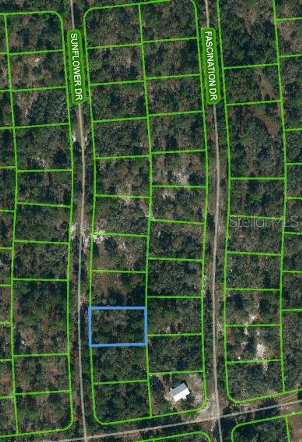 Photo of 245 Sunflower Avenue, Lake Placid, FL 33852 (MLS # OM621167)