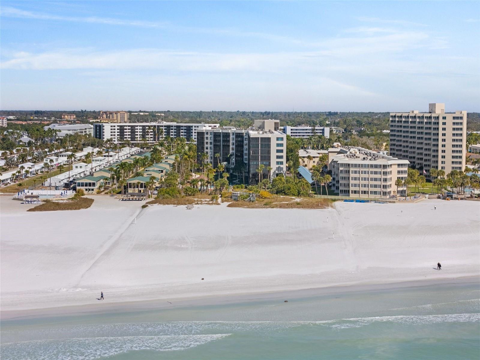 CASARINA - Residential