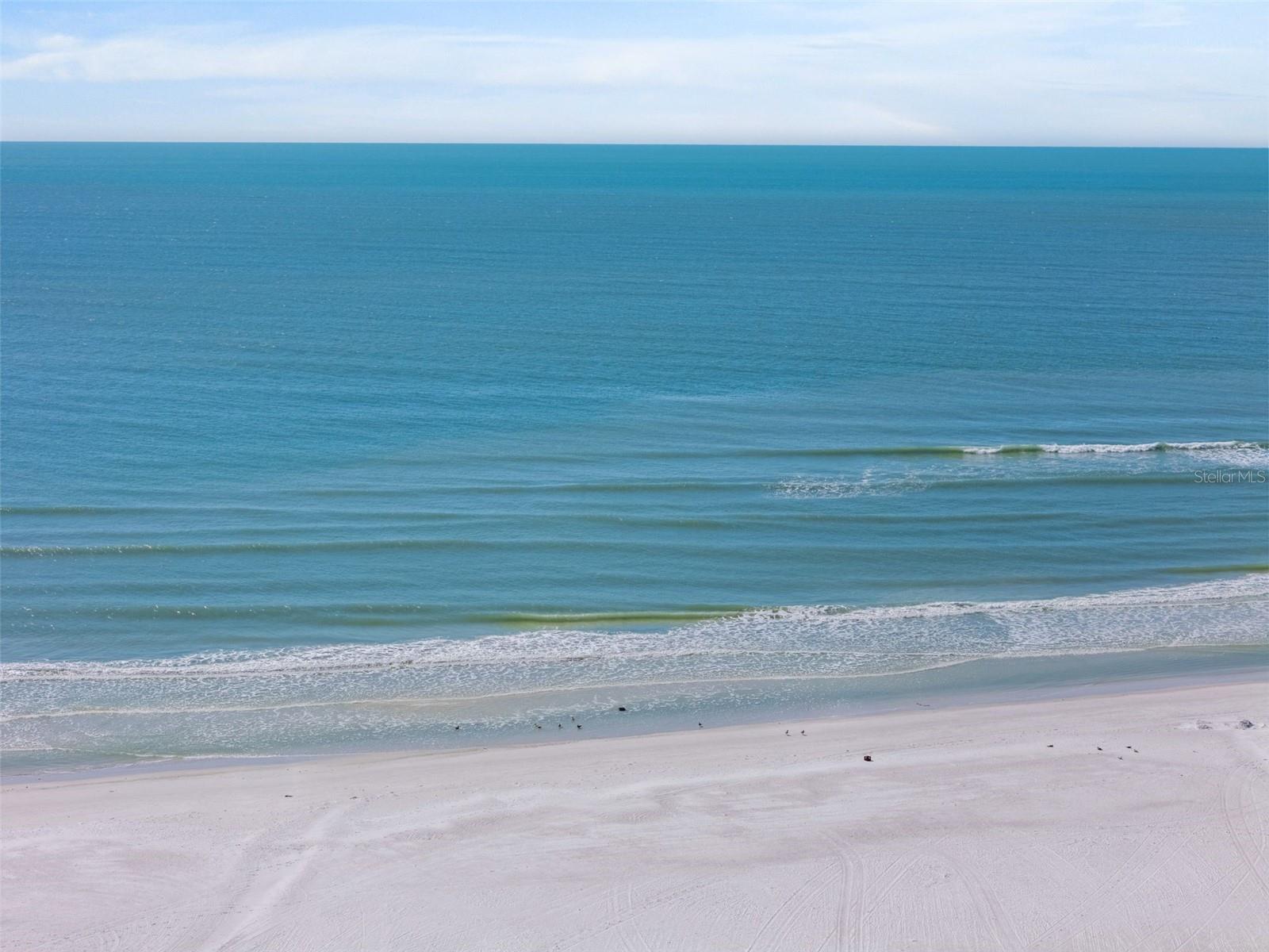 CASARINA - Residential