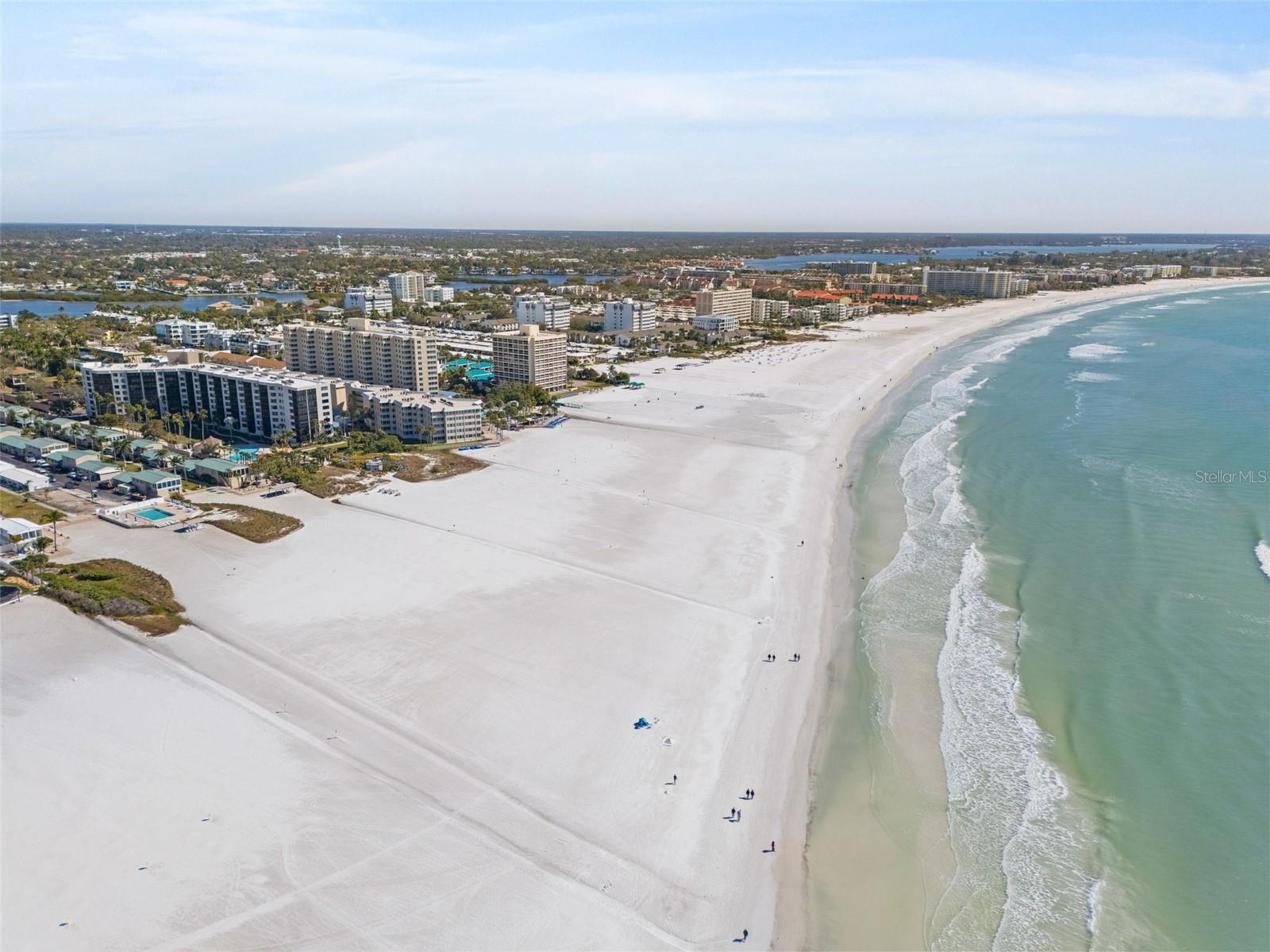 CASARINA - Residential