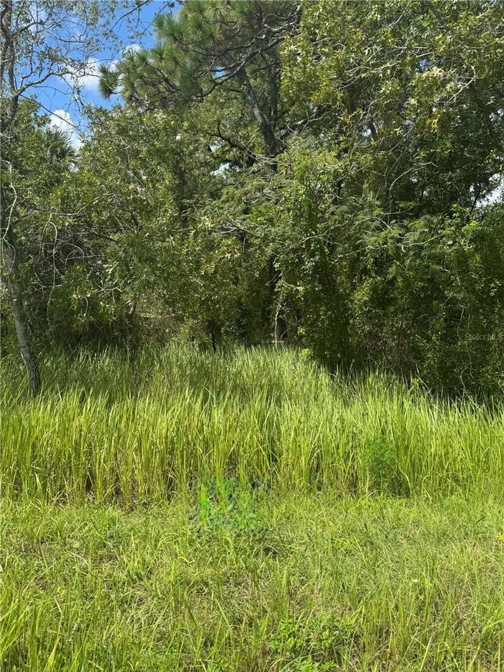 Photo of 9007 Bahia Pass Court, Ocala, FL 34471 (MLS # A4662826)