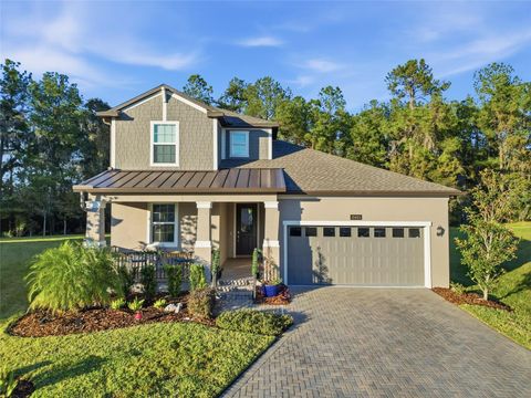 19493 FOREST GARDEN COURT BROOKSVILLE FL 34601