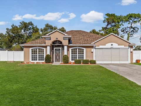 Photo of 11217 Kangley Lane, Spring Hill, FL 34608 (MLS # W7881067)