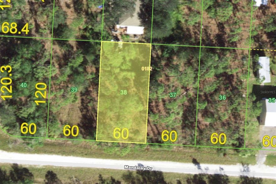 TROPICAL GULF ACRES LOT - Claim your spot in paradise. Tropical Gulf Acres is a growing community nestled between the City of Punta Gorda & the City of Ft Myers. Perfect spot to build your custom home or income property. No HOA or deed-restrictions here. Take advantage of all the amenities the area offers including golf, boating, fishing, biking & so much more while living in a serene & wooded setting. Lot features easy access to Punta Gorda, Cape Coral & Ft Myers & is just minutes from Burnt Store Marina or I-75. Build your dream home here and start living the Florida lifestyle. Lot dimensions for the property are 60x120x60x120. Adjacent lot (#39) is for sale separately. Buy both lots & combine to create 1/3 acre parcel.