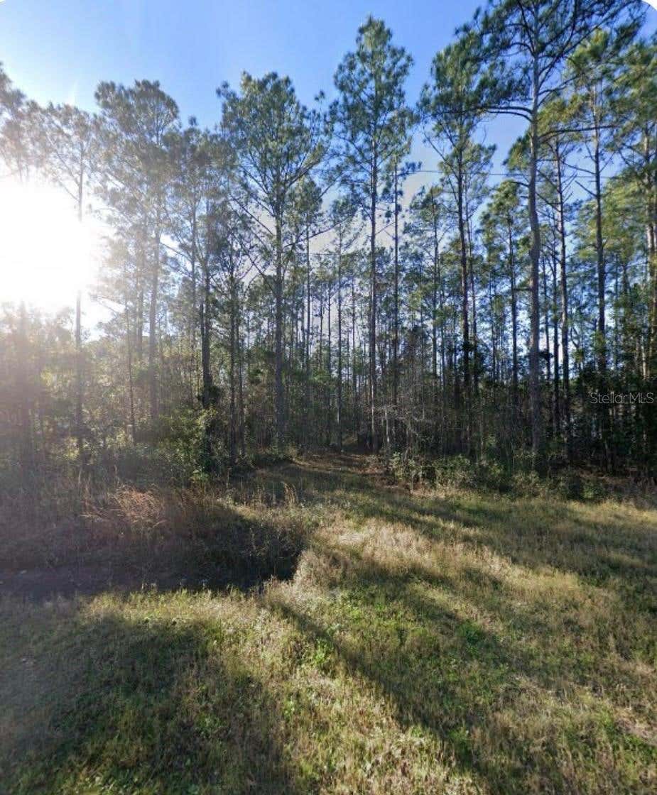 Photo of 9930 Crotty Avenue, Hastings, FL 32145 (MLS # O6417625)