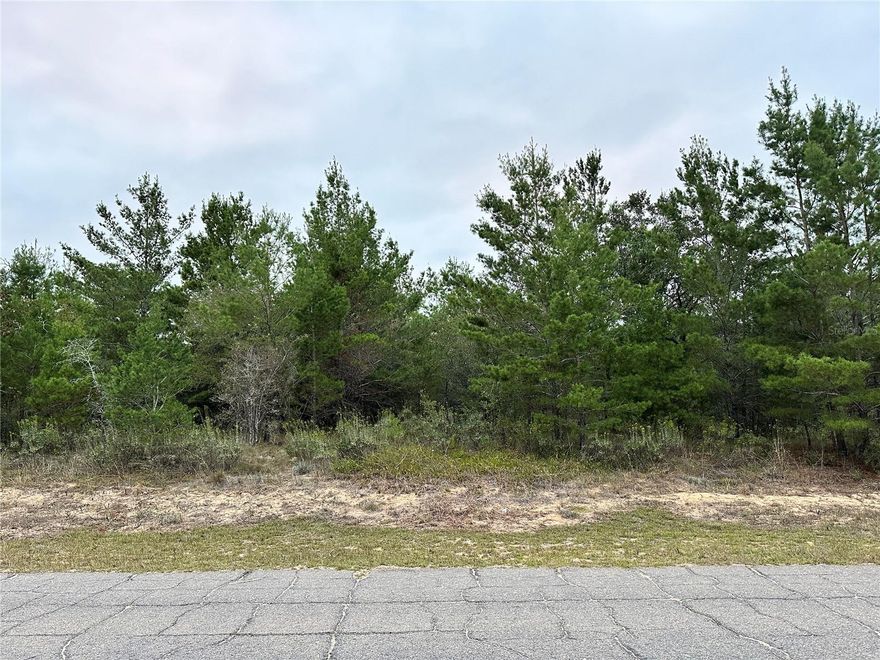 Situated in the heart of Sunny Hills, this residential lot measures 93 by 123 feet and offers access to city water. Located outside the flood zone, with no wetlands, this lot is shovel-ready and primed for development. Chipley is a city in Washington County, Florida, Chipley has many attractions, including Falling Waters State Park, Seacrest Wolf Preserve, Orange Hill Gator Farm, The Swamp Off-Road Park, and Sunshine Riding Trails. Falling Waters State Park has a two-acre lake with a sand beach that's good for swimming.