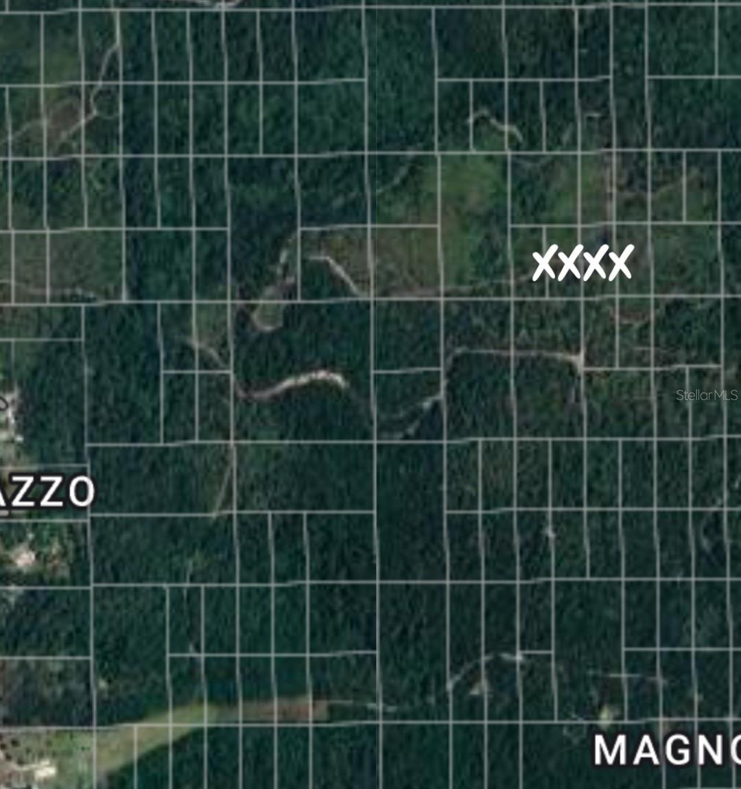 Photo 1 of 3 — NO NAME, DELAND, FL 32724