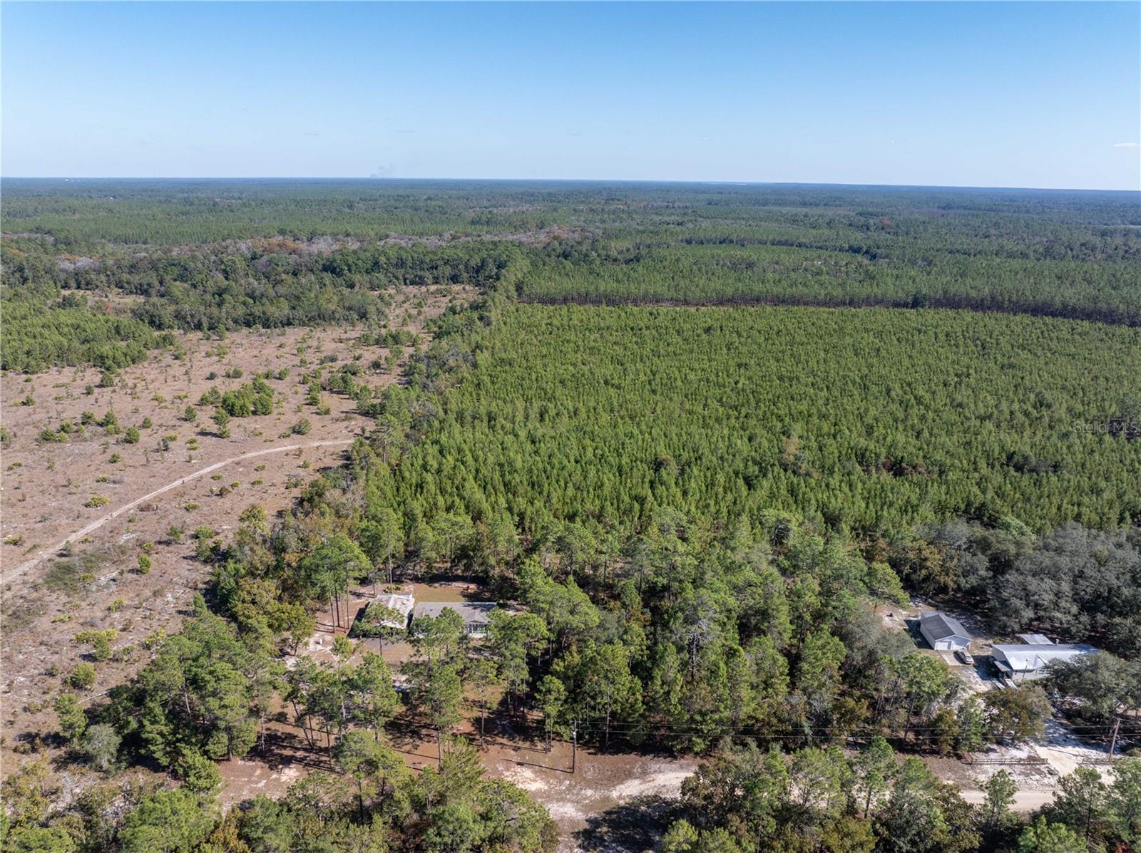 INTERLACHEN LAKE ESTATES - Residential