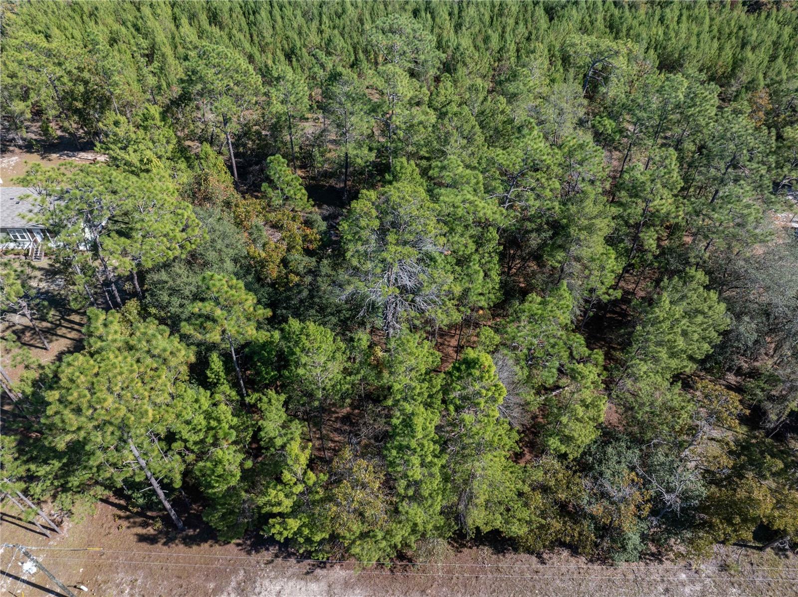 INTERLACHEN LAKE ESTATES - Residential