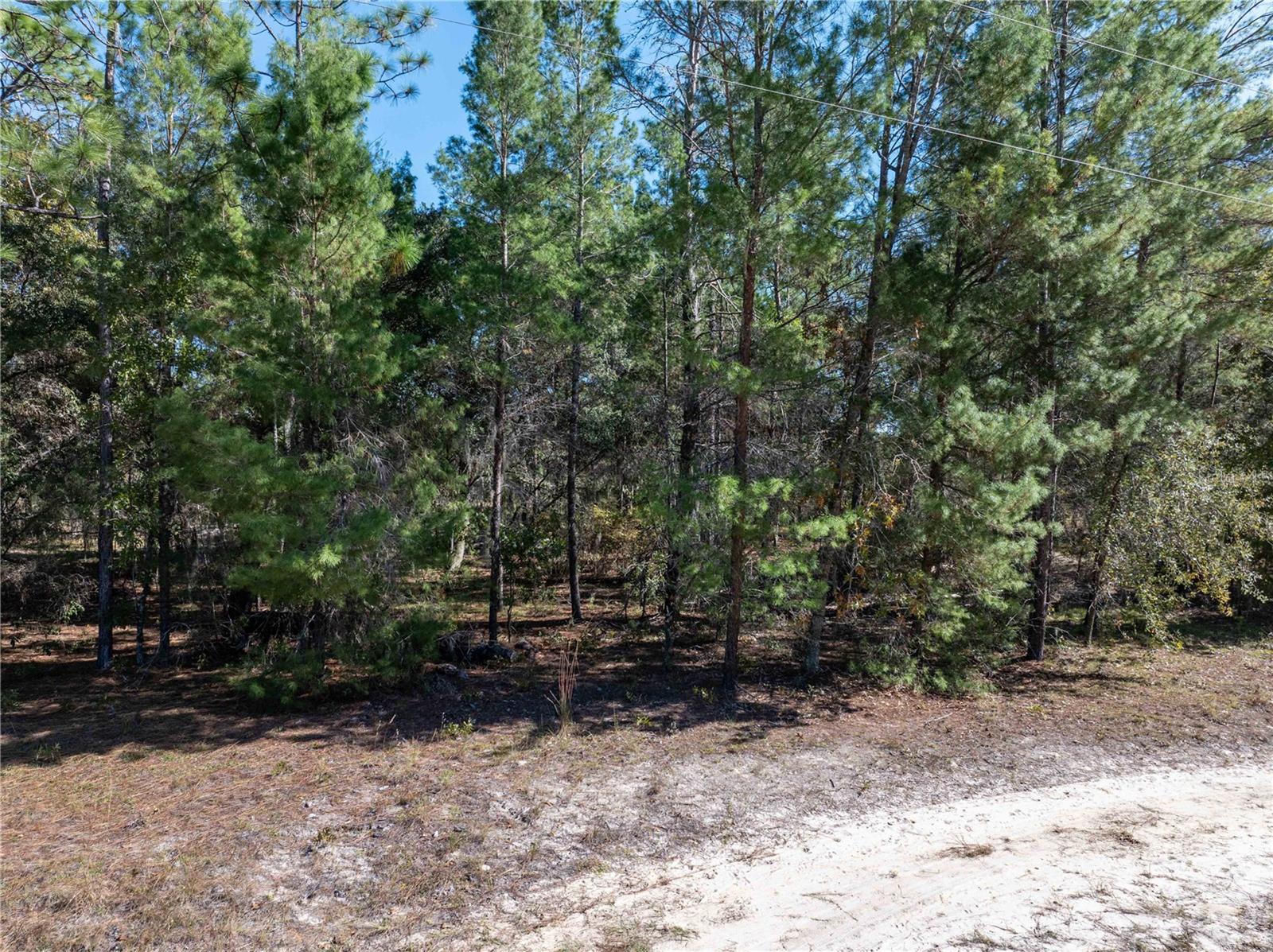 INTERLACHEN LAKE ESTATES - Residential