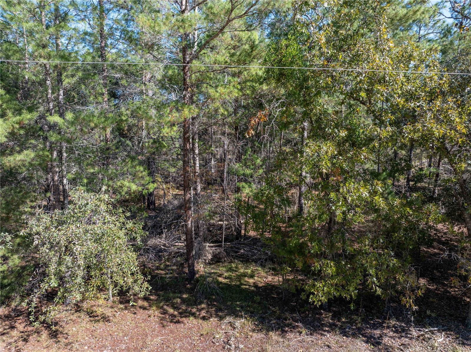 INTERLACHEN LAKE ESTATES - Residential