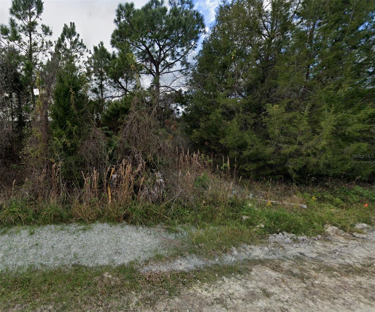 This vacant residential lot is located in the tranquil town of Webster, FL. Well over an acre this lot is in a rural neighborhood which presents the perfect opportunity to build your dream home. Easy access to major highways, shops, schools, and other amenities. Surrounded by nature and peaceful atmosphere. You don't want to miss out on the chance to build in the heart of Webster, FL.