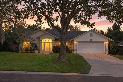 132 COUNTRY LAKES CIRCLE GROVELAND FL 34736