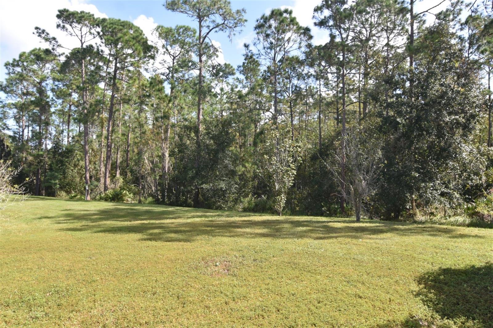 LAKES/WINDERMERE-PEACHTREE - Residential