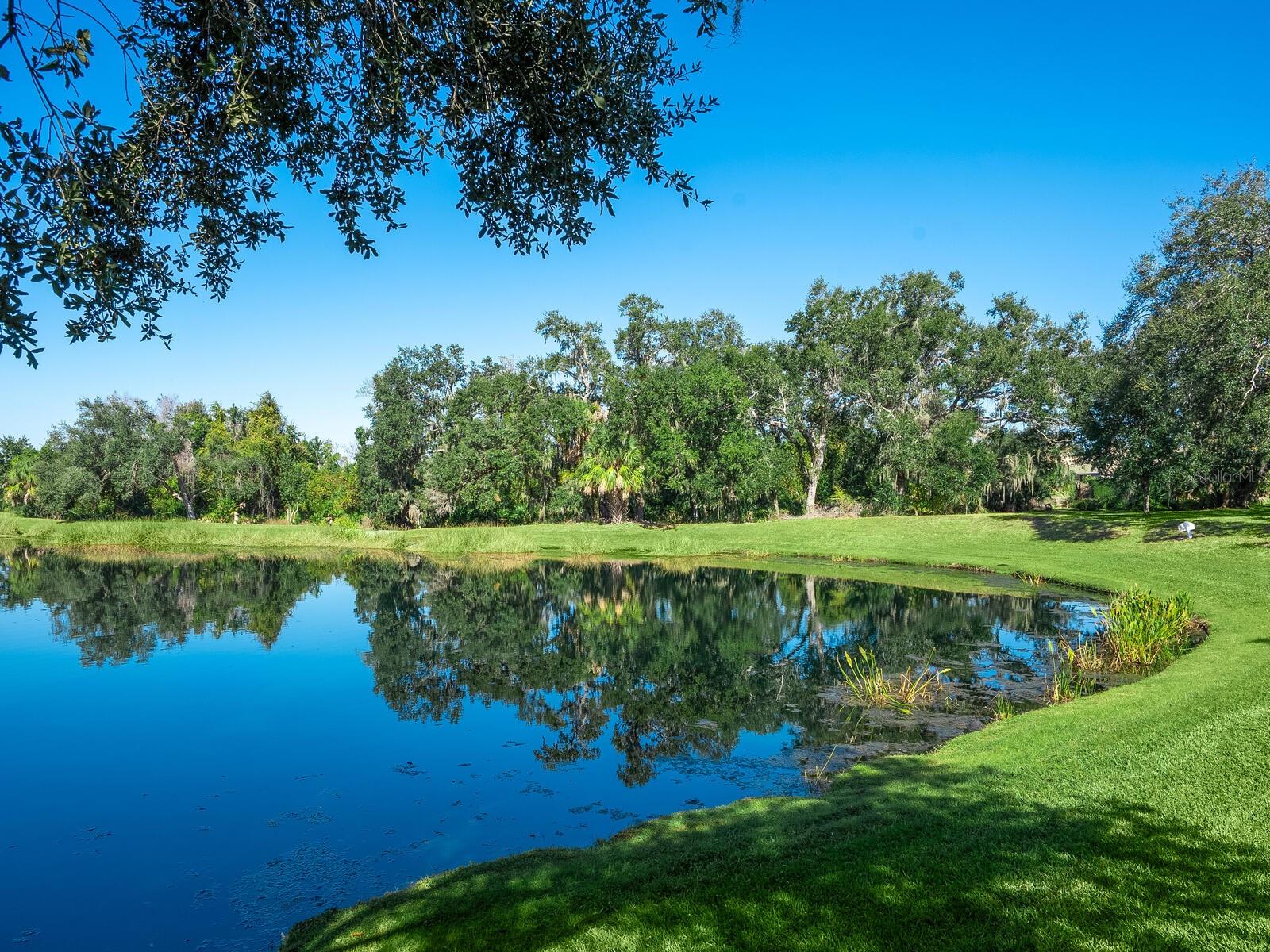 LAKEWOOD RANCH COUNTRY CLUB VILLAGE EE 3A-3C - Residential