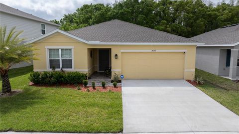 A home in LAND O LAKES