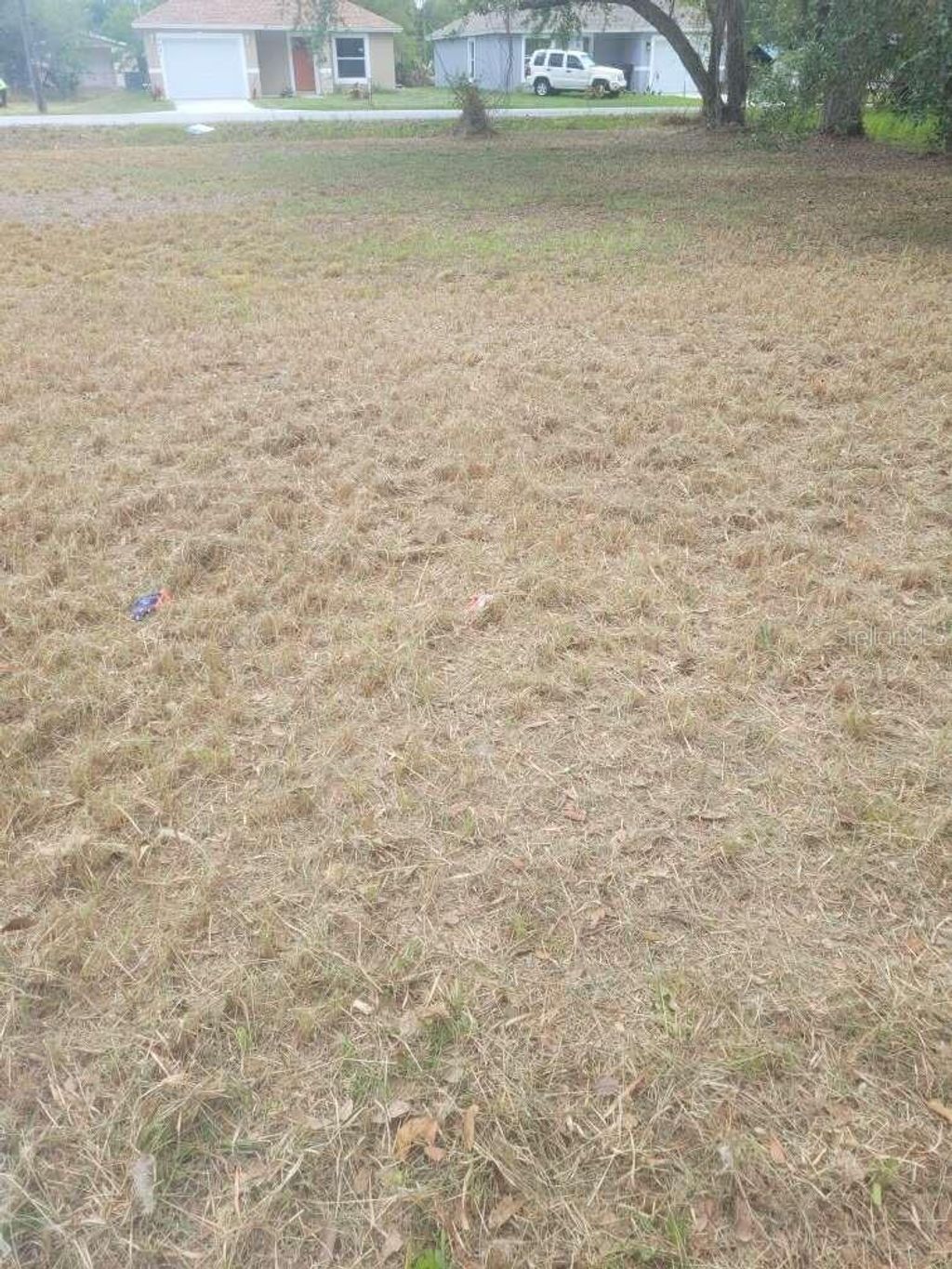 Photo of 0 Central Avenue, Mulberry, FL 33860 (MLS # O6401196)
