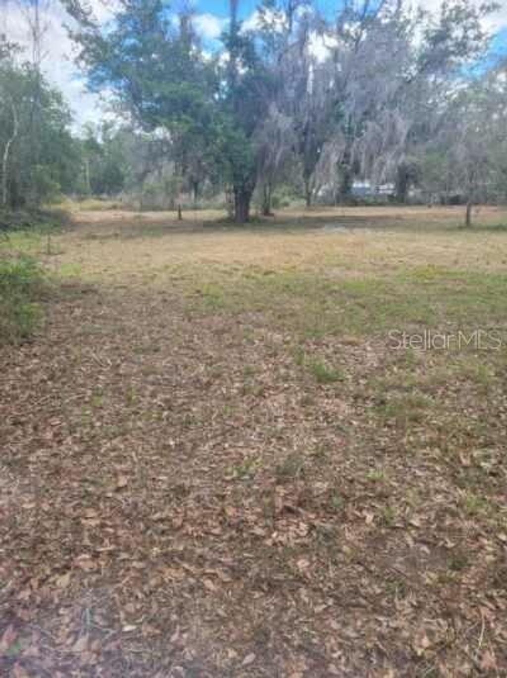 Photo of 0 Central Avenue, Mulberry, FL 33860 (MLS # O6401196)