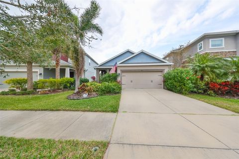 A home in APOLLO BEACH