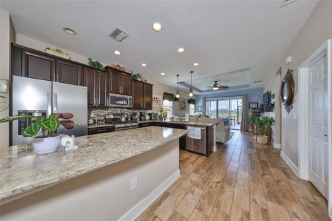 A home in APOLLO BEACH