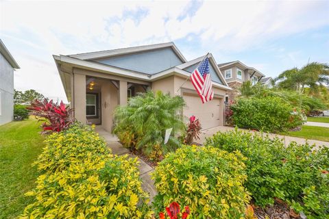 A home in APOLLO BEACH