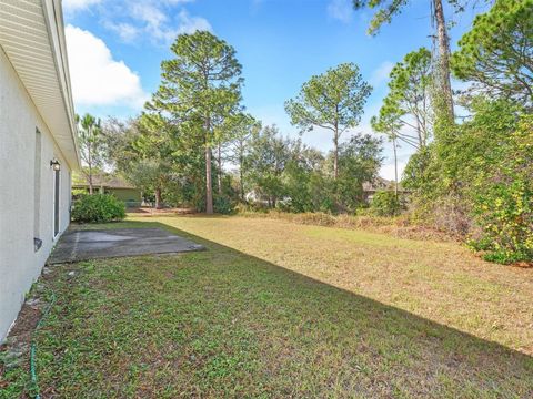 A home in DELTONA