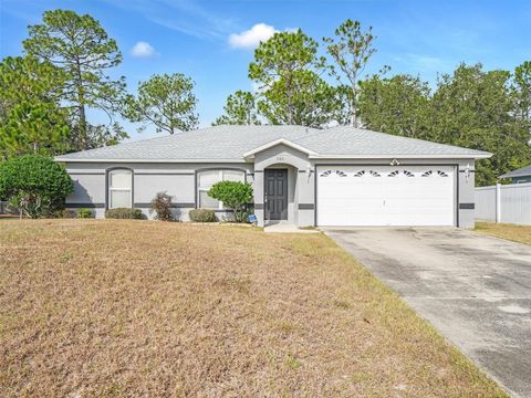 A home in DELTONA