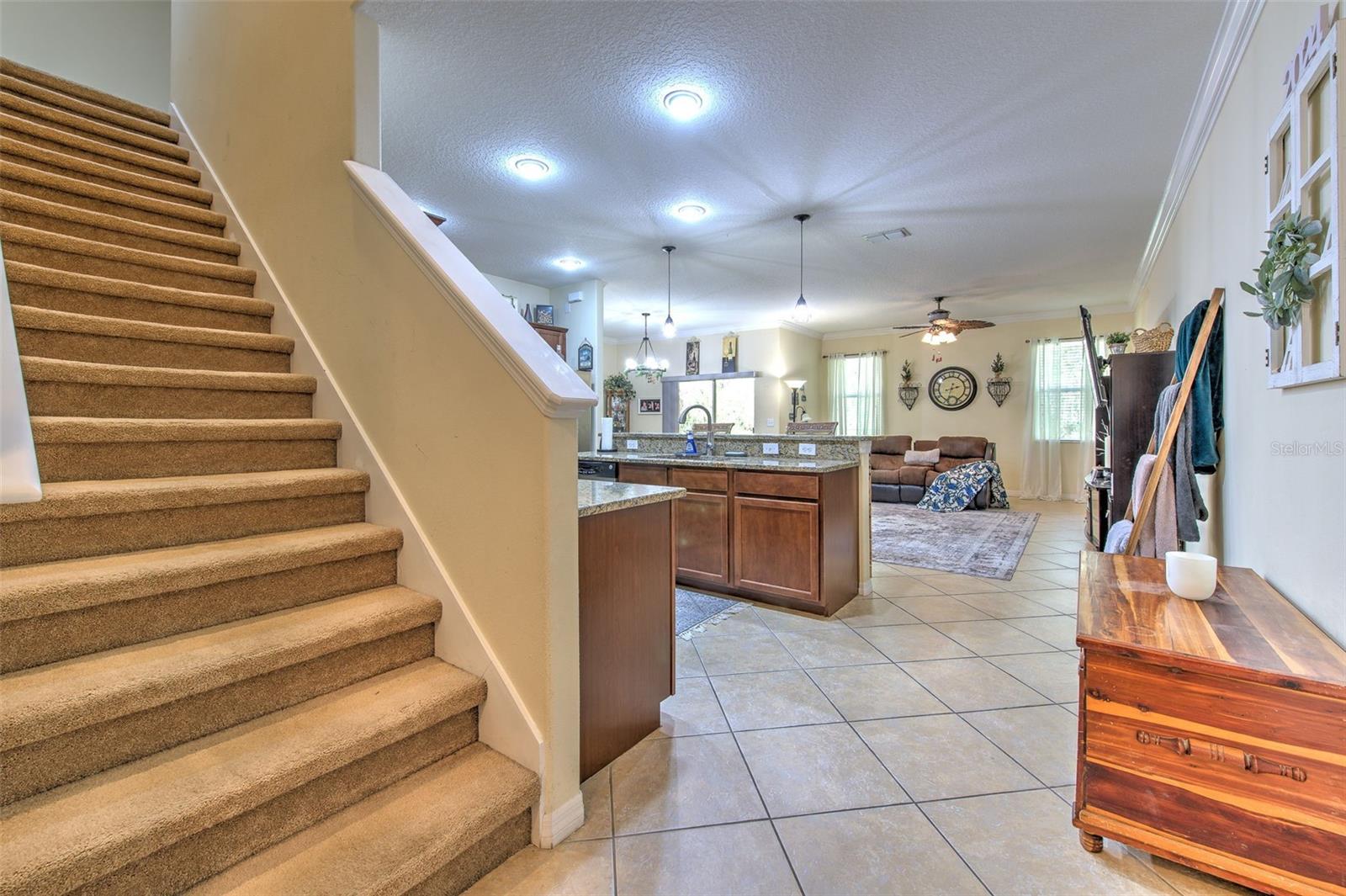 HAMMOCKS - Residential