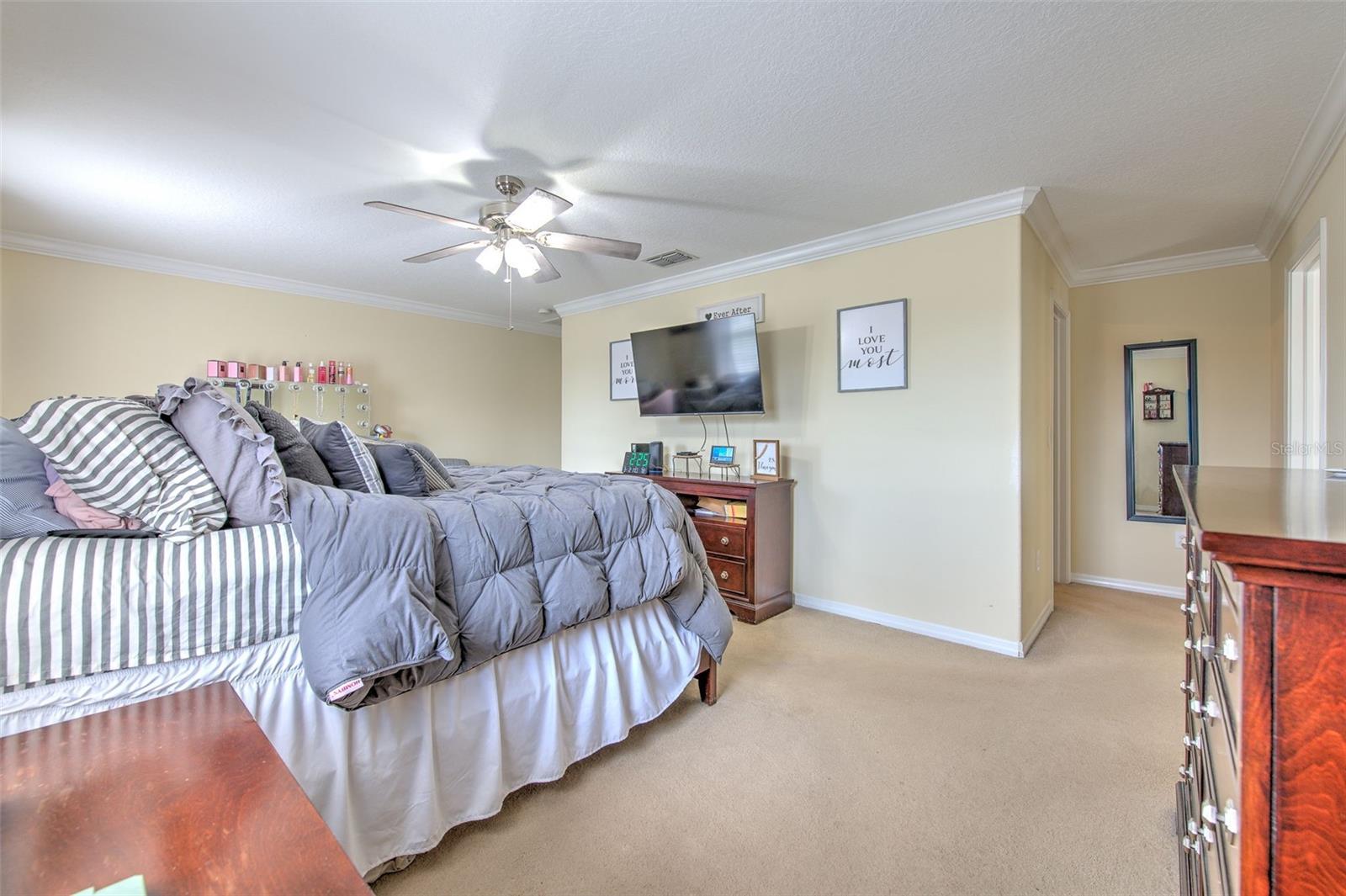 HAMMOCKS - Residential