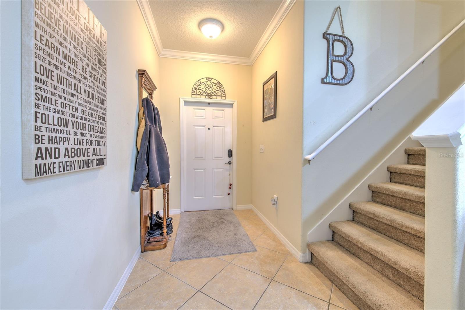 HAMMOCKS - Residential