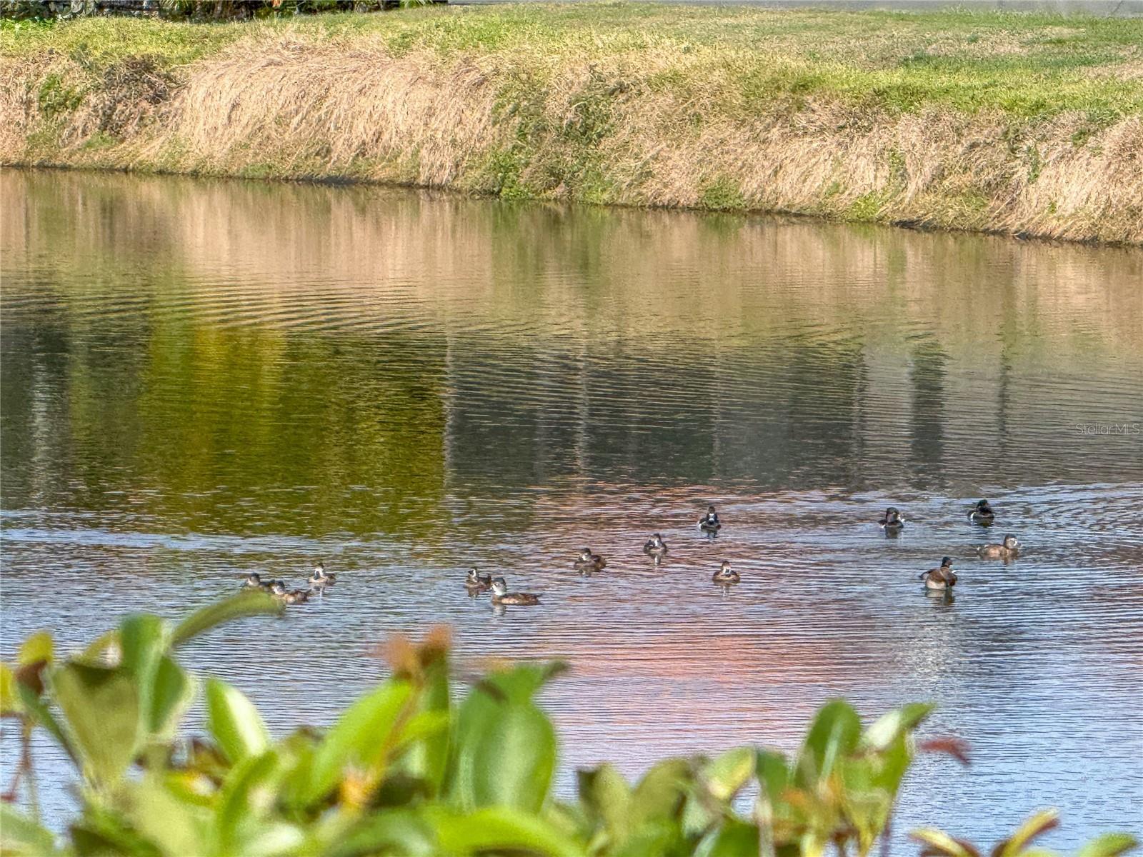 LONGWOOD RUN PH 3 PT A - Residential