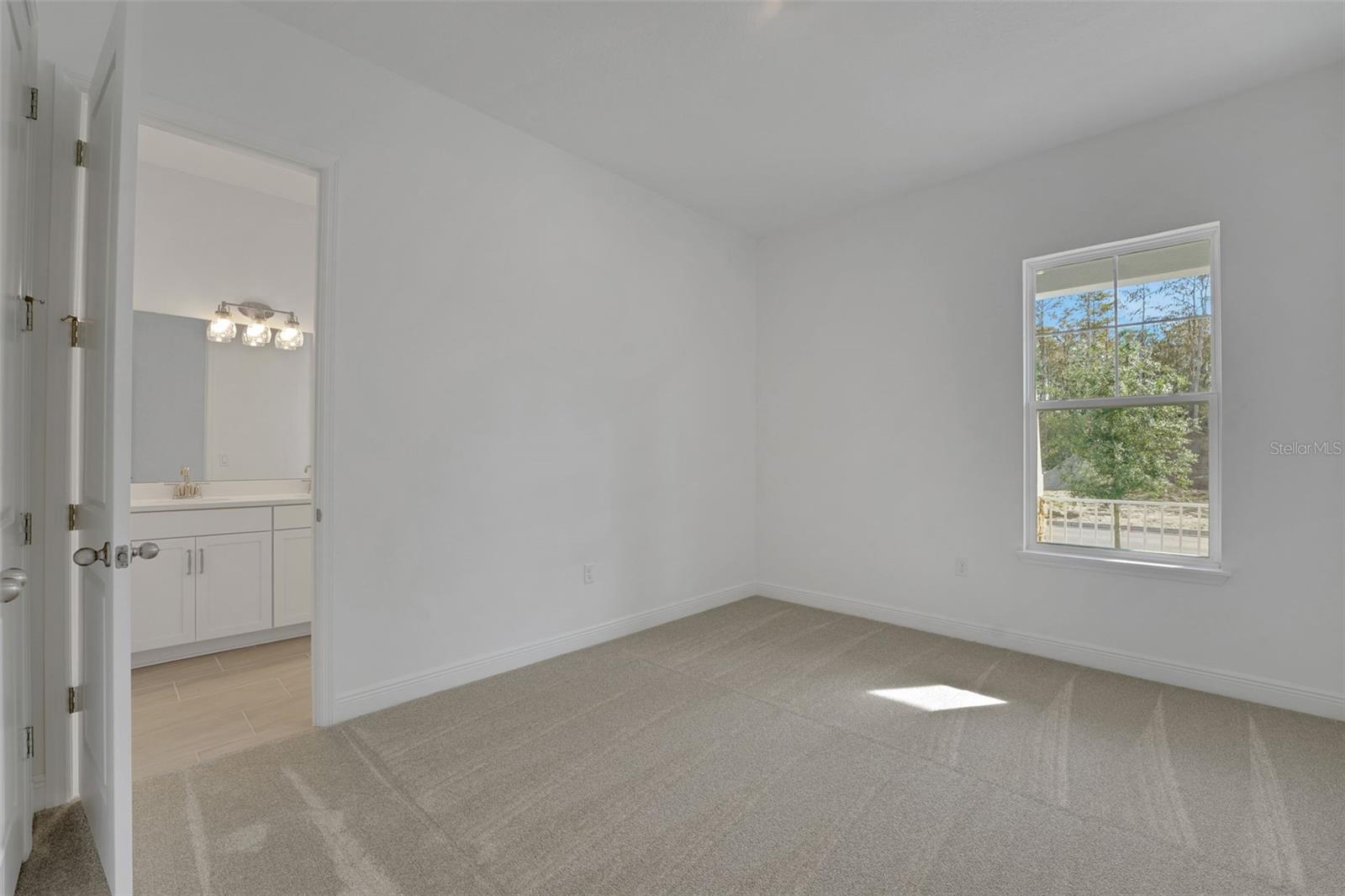 PALMS AT WINDERMERE - Residential