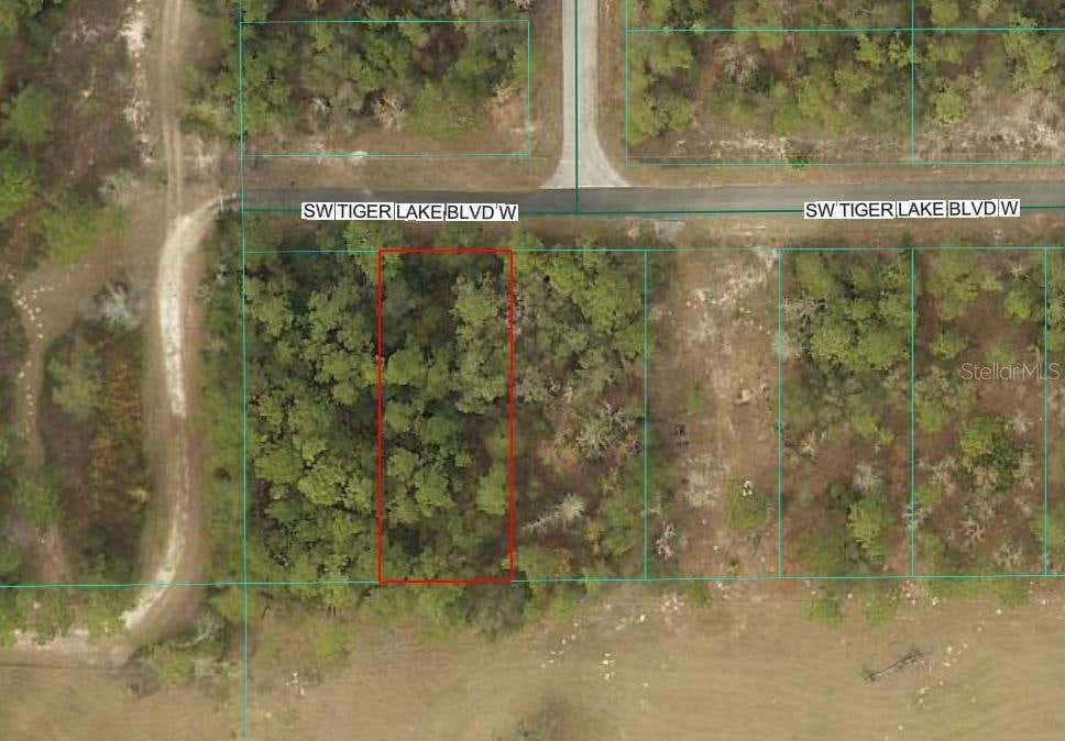 Photo of 0 SW Tiger Lake Boulevard, Dunnellon, FL 34432 (MLS # OM730346)