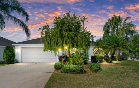 3630 ANVIL AVENUE THE VILLAGES FL 32163