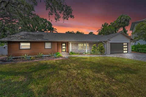 409 S BARBARA LANE TAMPA FL 33609