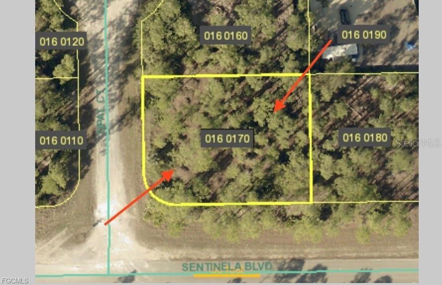 LEHIGH ACRES - Land