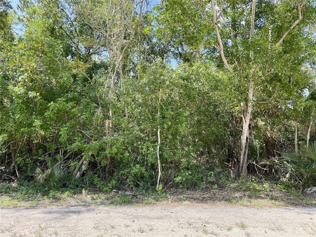 Photo of 27285 Plumosa Drive, Punta Gorda, FL 33955 (MLS # C7512799)