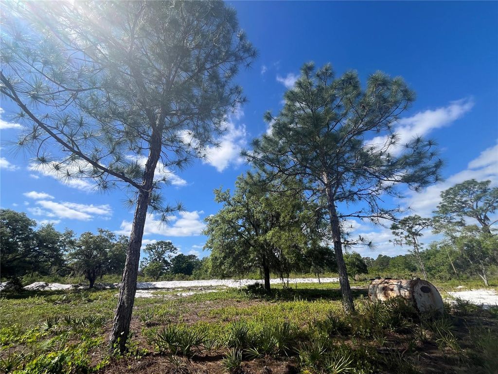 Photo of Fazzini Drive, Frostproof, FL 33843 (MLS # P4938475)