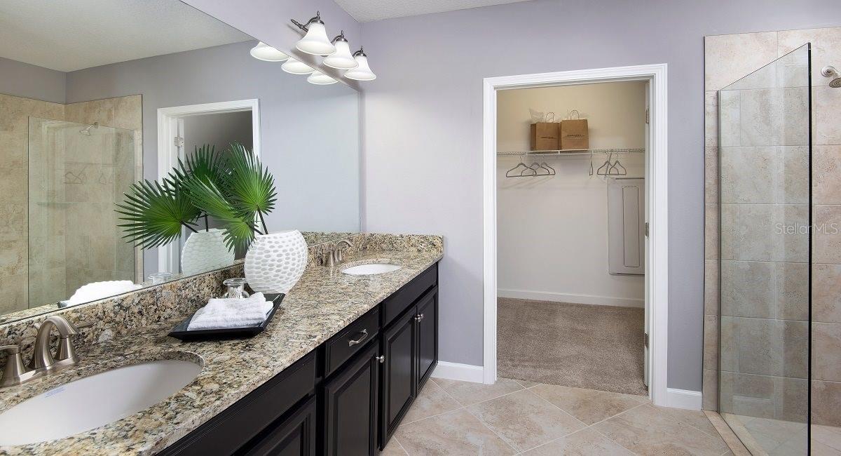 32224 CANNON RUSH DRIVE