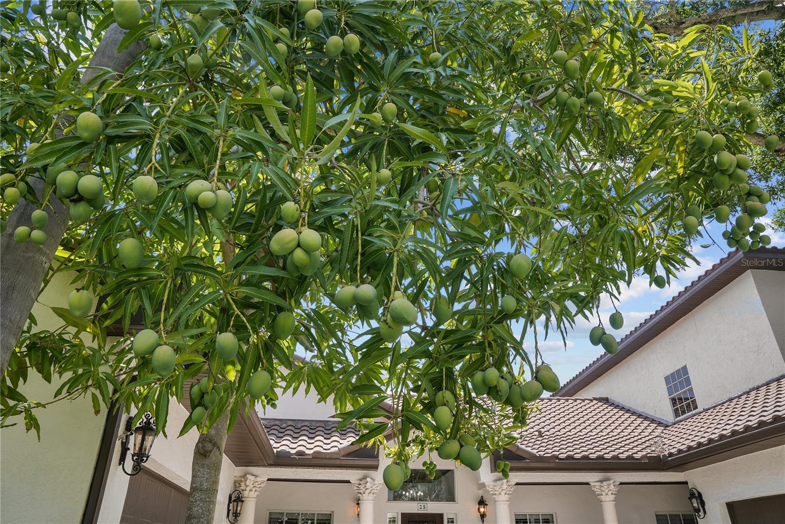 BAYSHORE ESTATES 2 - Residential