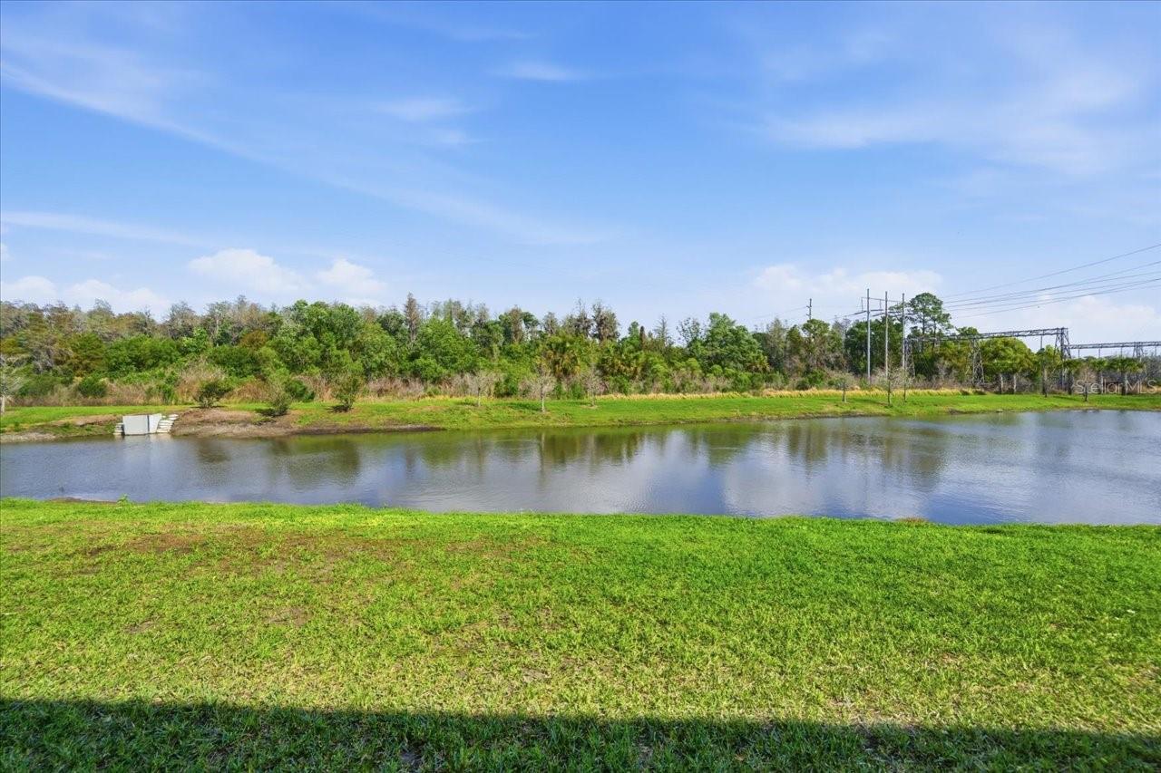 CINTRON GROVE - Residential