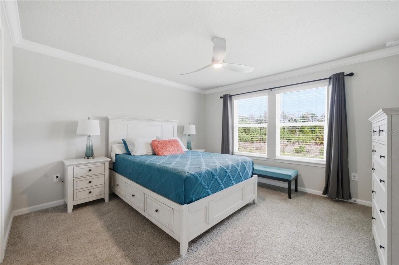 CINTRON GROVE - Residential