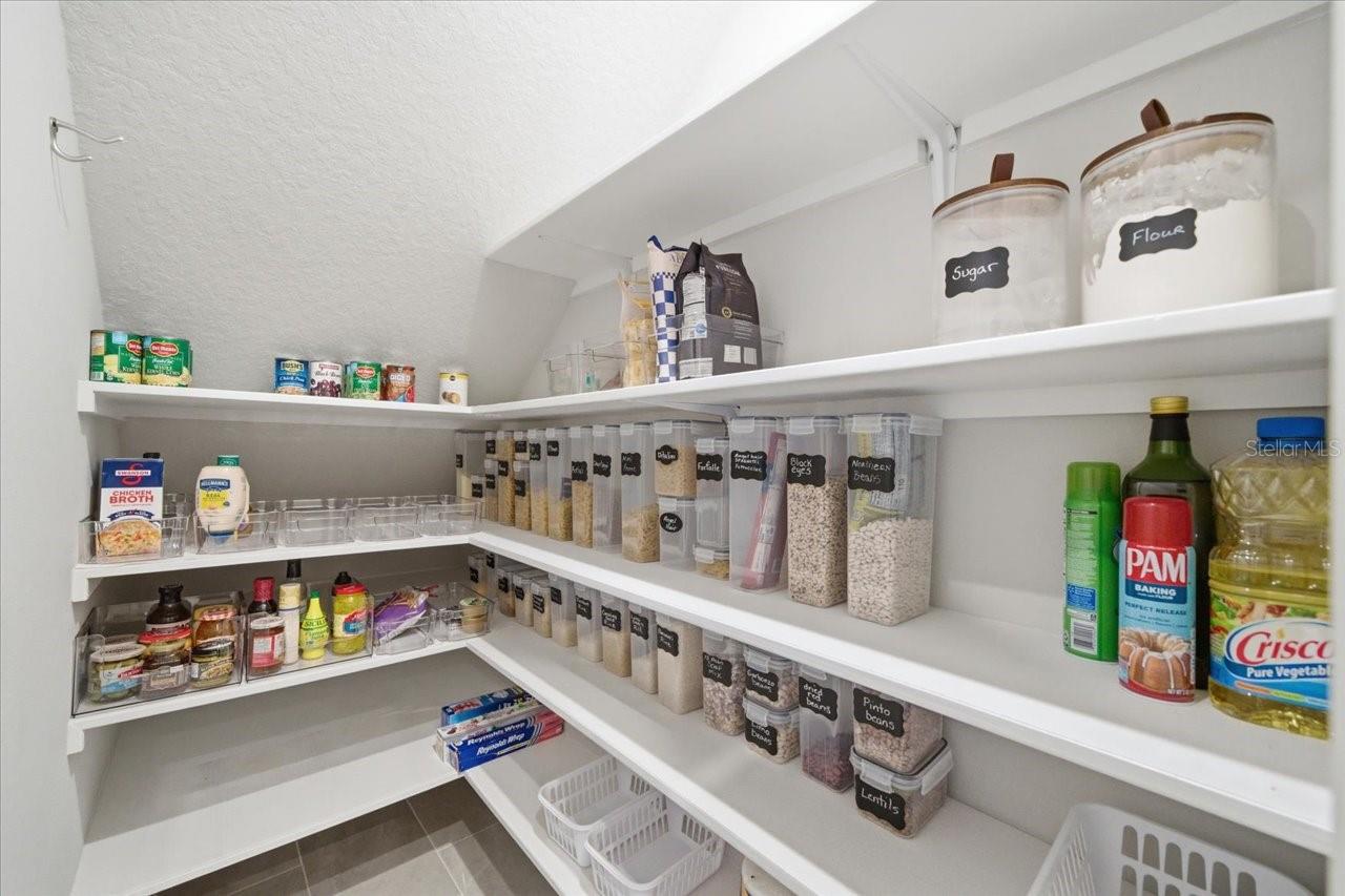 CINTRON GROVE - Residential