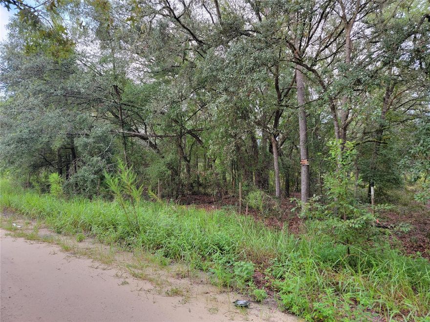 1.25 Acre parcel with private serene setting; central to Bronson, Williston and Gainesville contains a mixture of hardwoods and beautiful oaks.  Property is partially cleared; wooded at frontage to maintain privacy.  Great location to build your new conventional home or mobile home.  No HOA!  Existing survey offers added savings and benefit to Buyer.  Buy now and build in the future.  Plenty of room to garden and grow your own food.  Central to Cedar Key and Crystal River; great seafood and Gulf access for prime fishing.  Come join us in the Sunshine State and enjoy the FL weather year round.